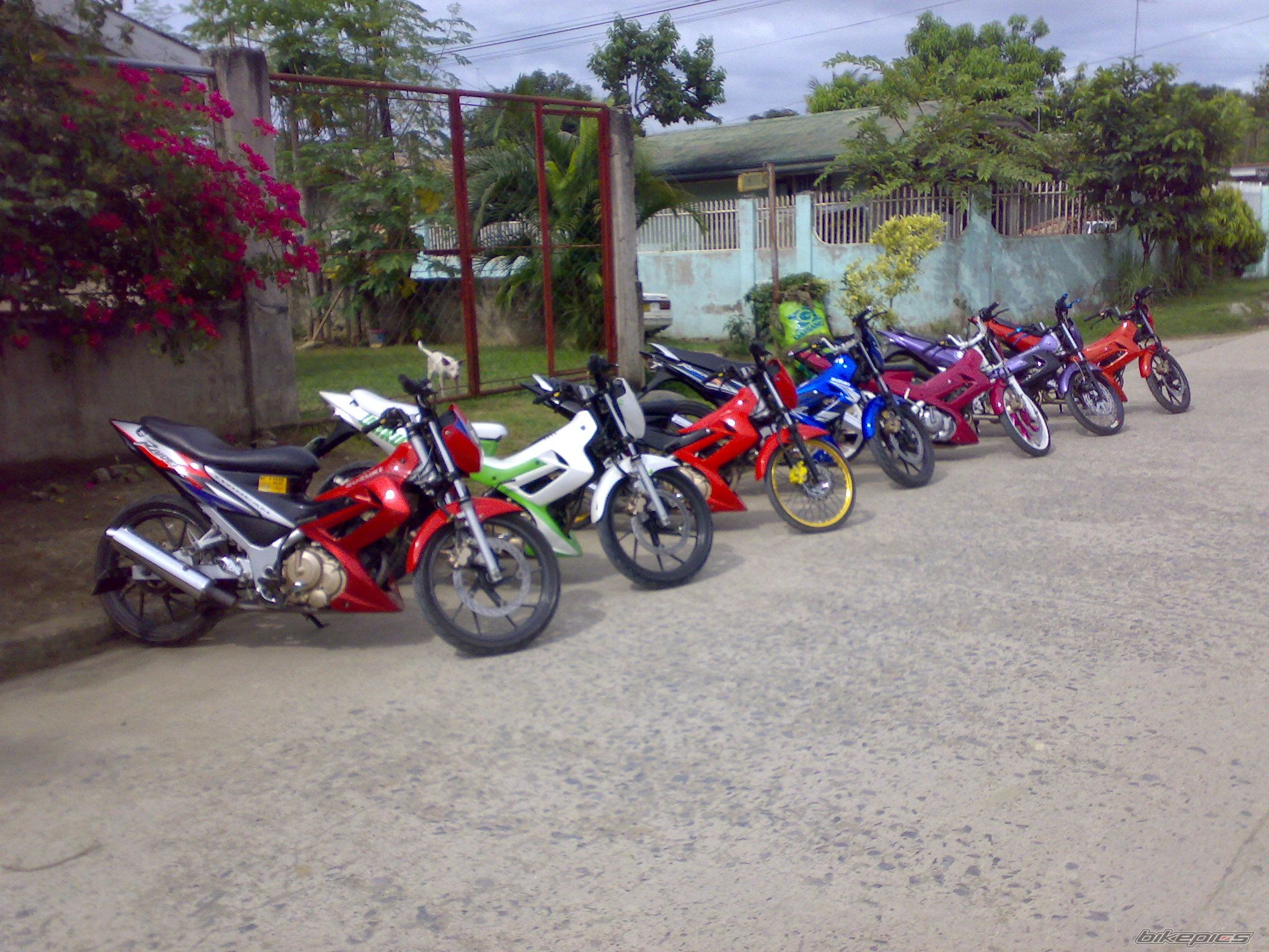Bike Photo 1733780
