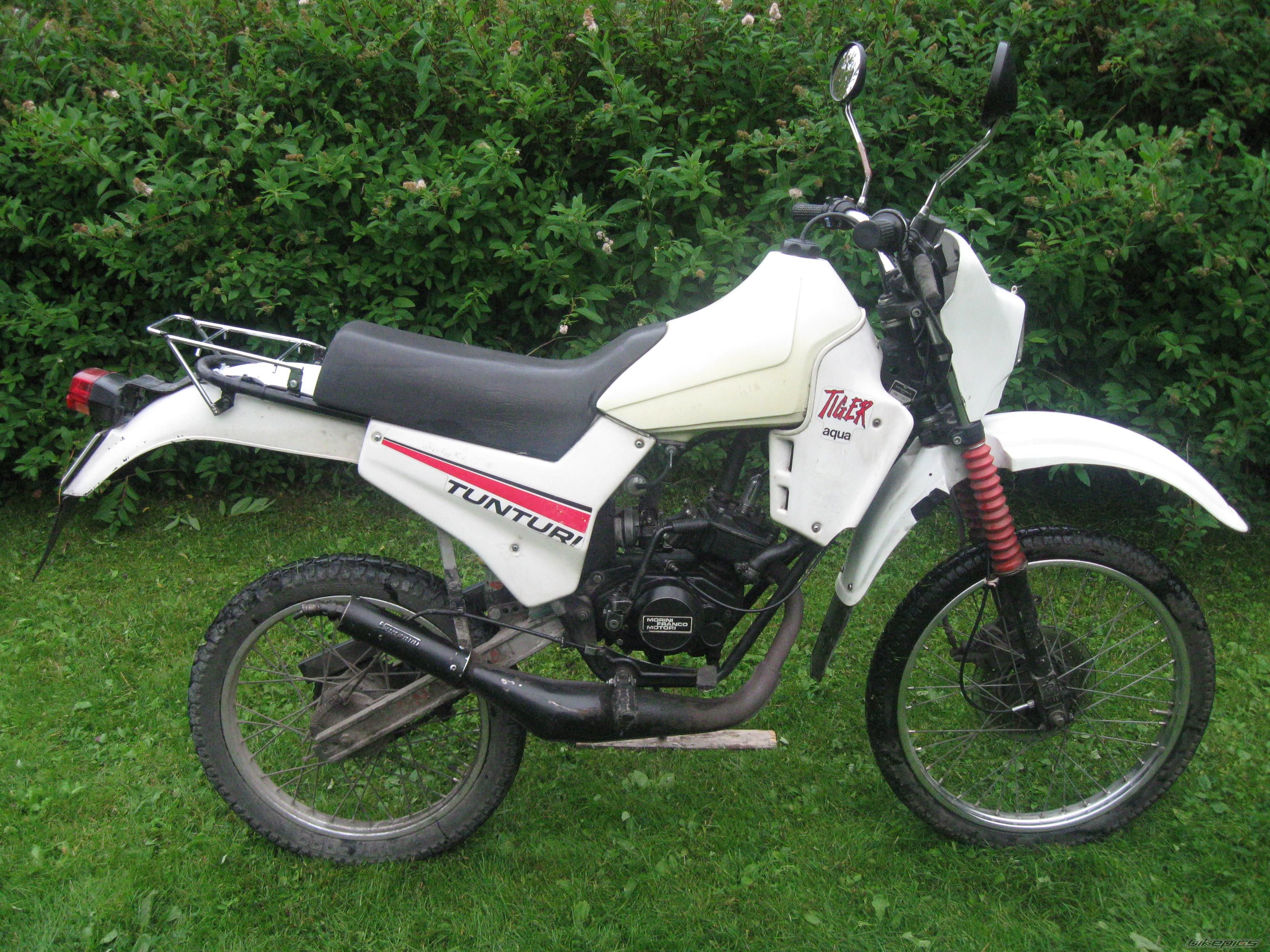 Photo 1733784