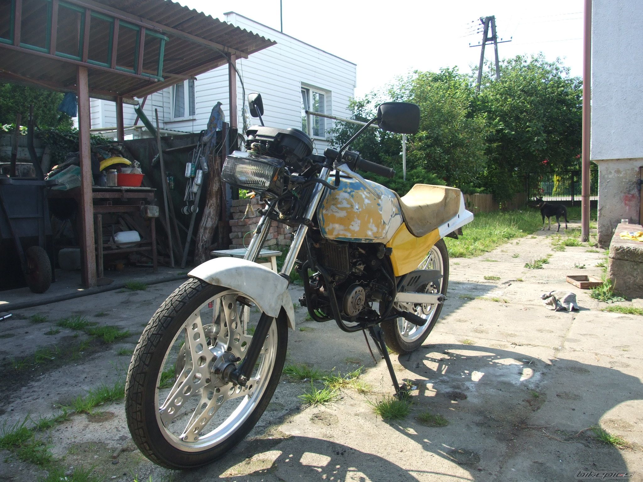 Photo 1733851