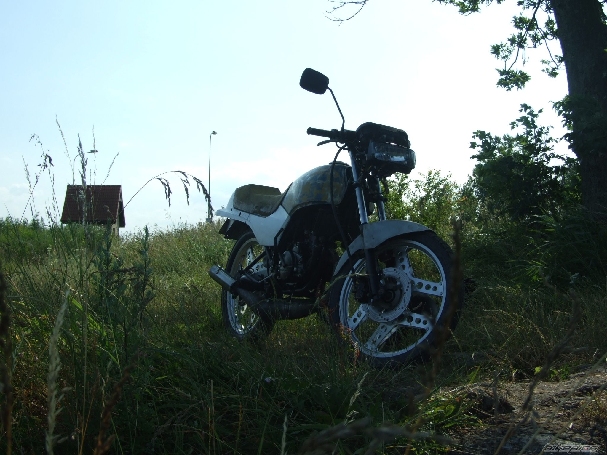 Photo 1733857