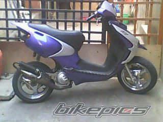 Photo 1733861