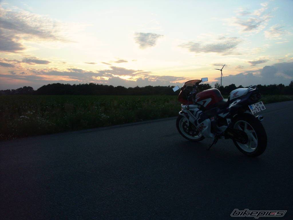 Photo 173390
