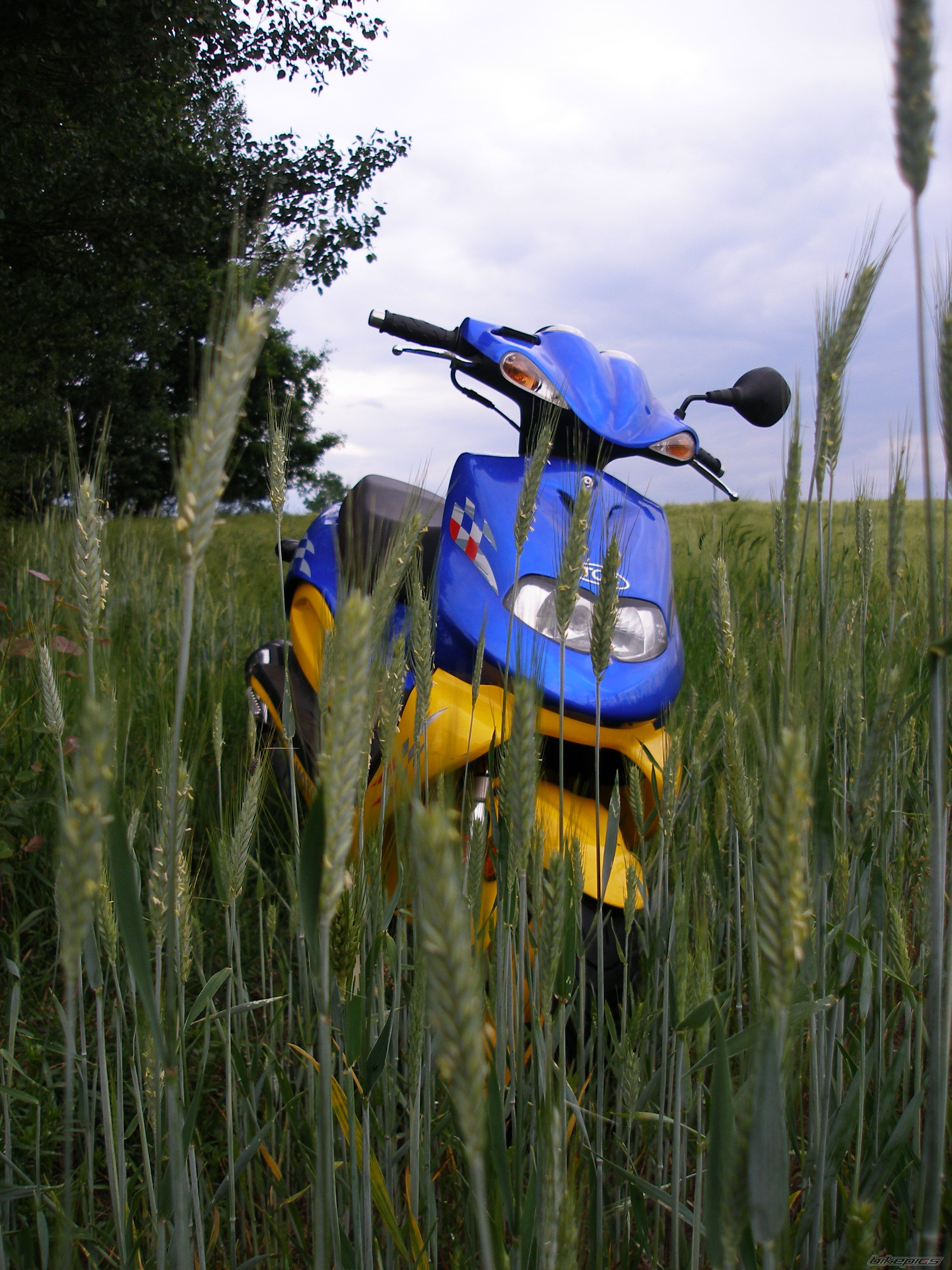 Bike Photo 1733909