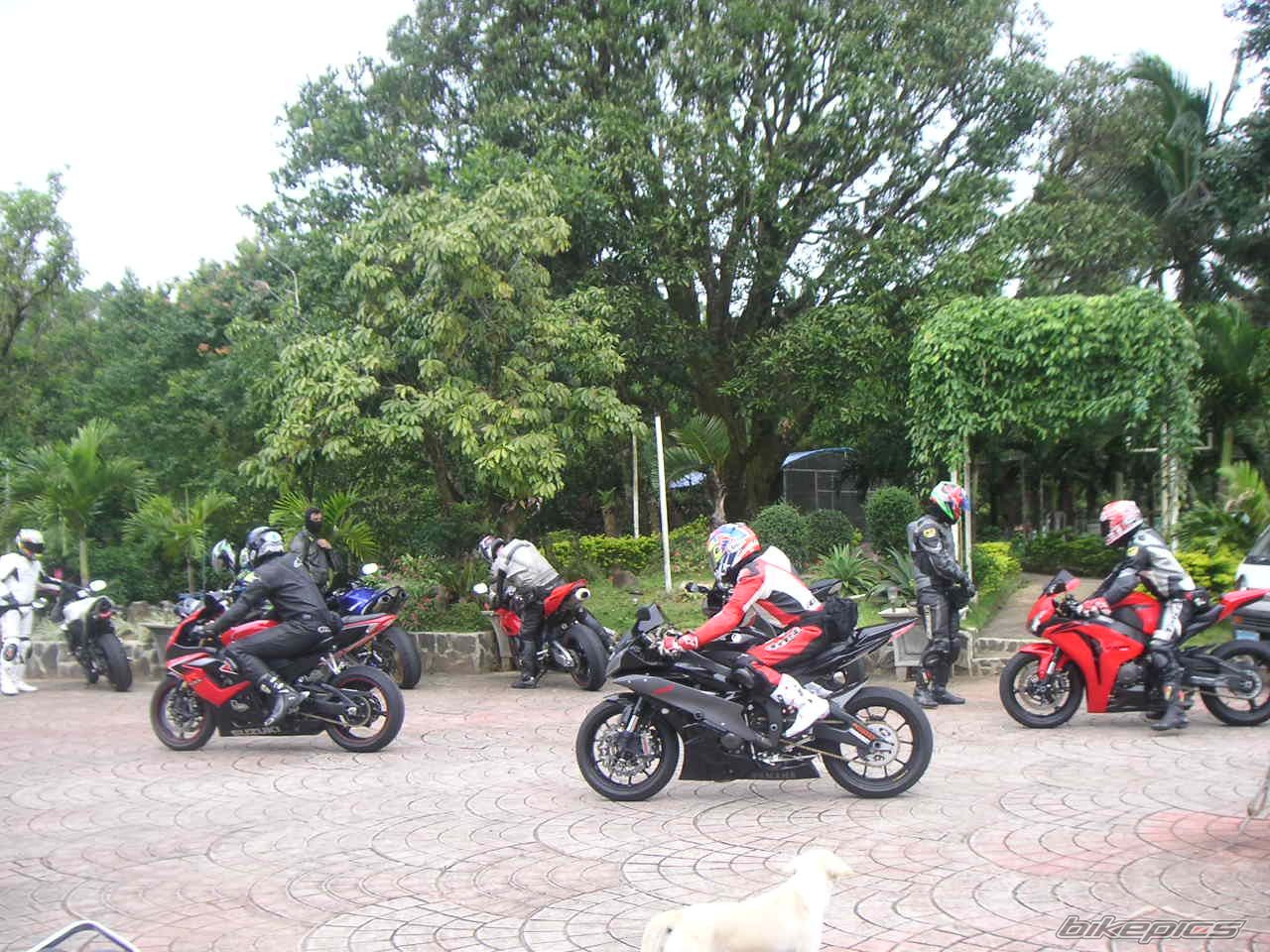 Bike Photo 1733969