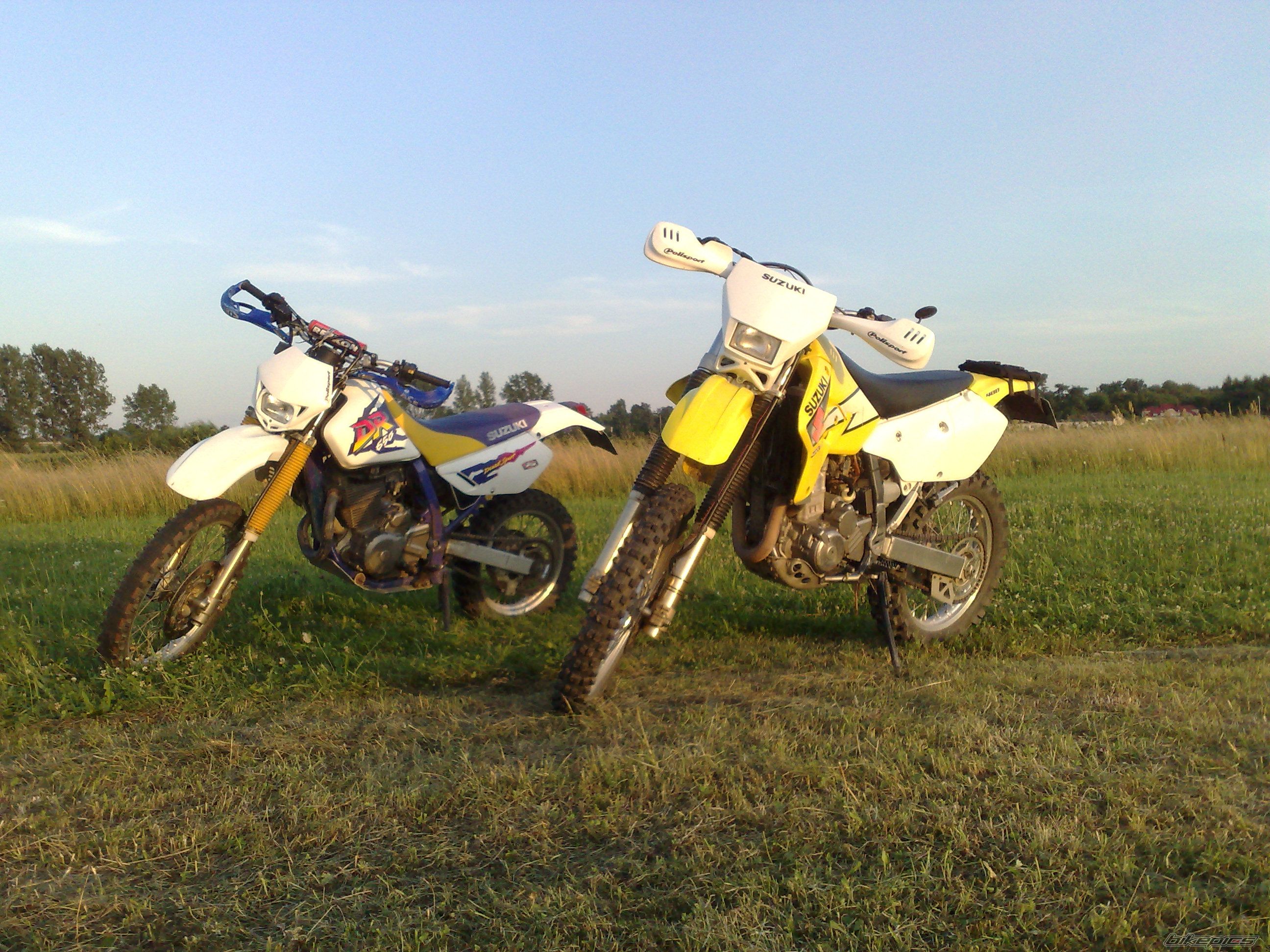 Photo 1733975