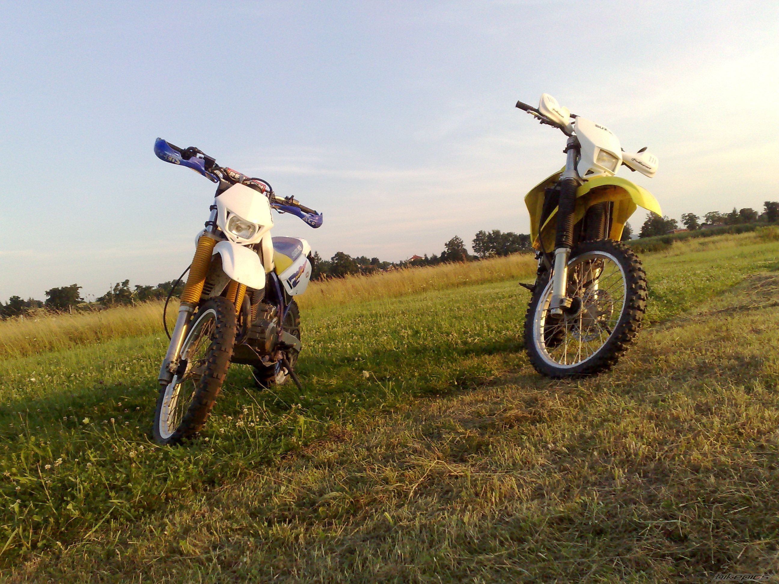 Photo 1733979