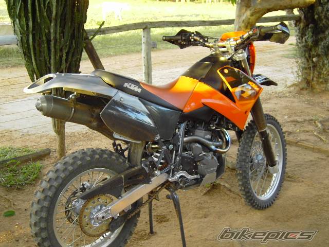 Photo 173405