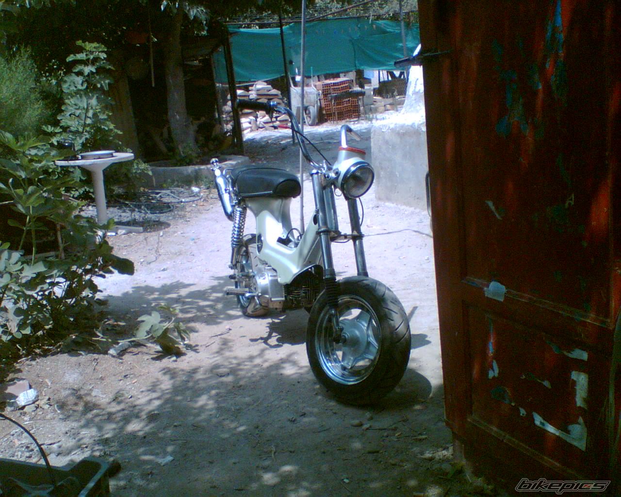 Photo 1734289