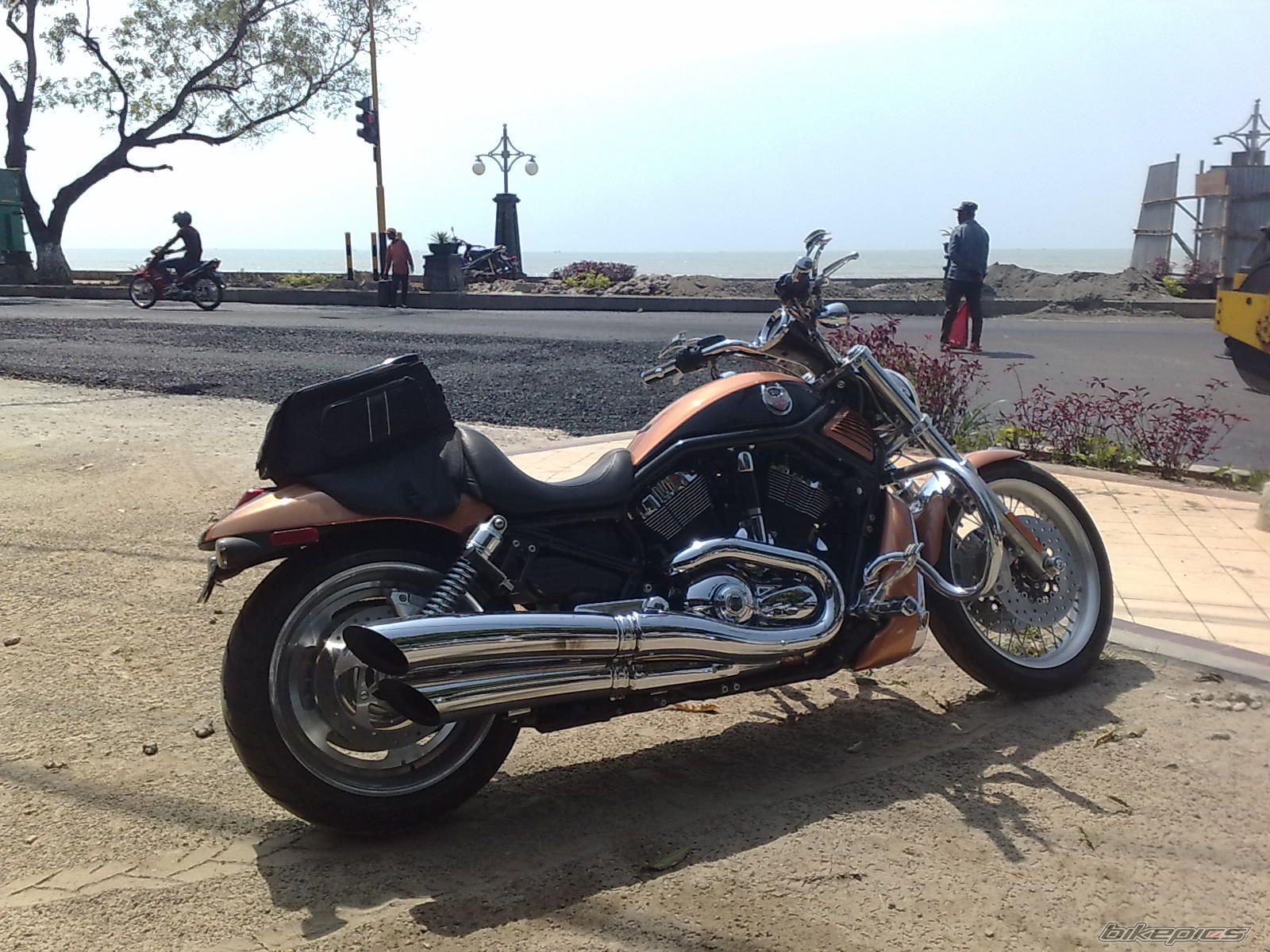 Photo 1734362