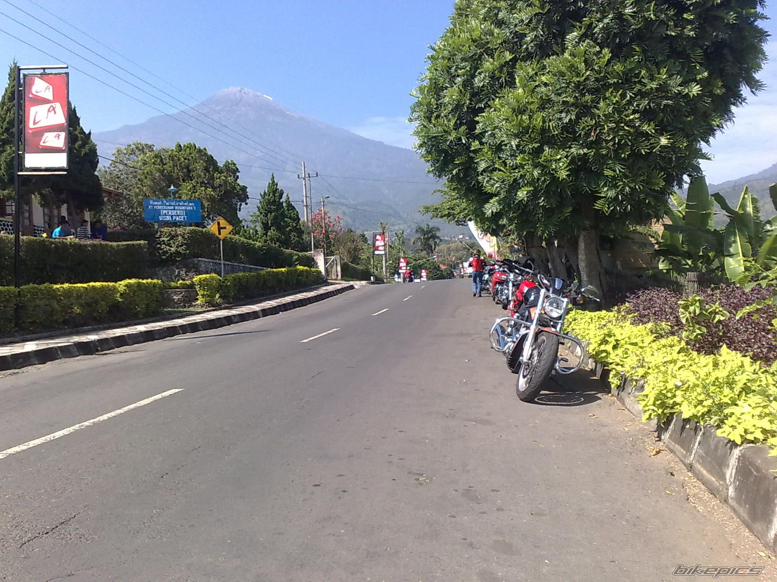 Photo 1734363
