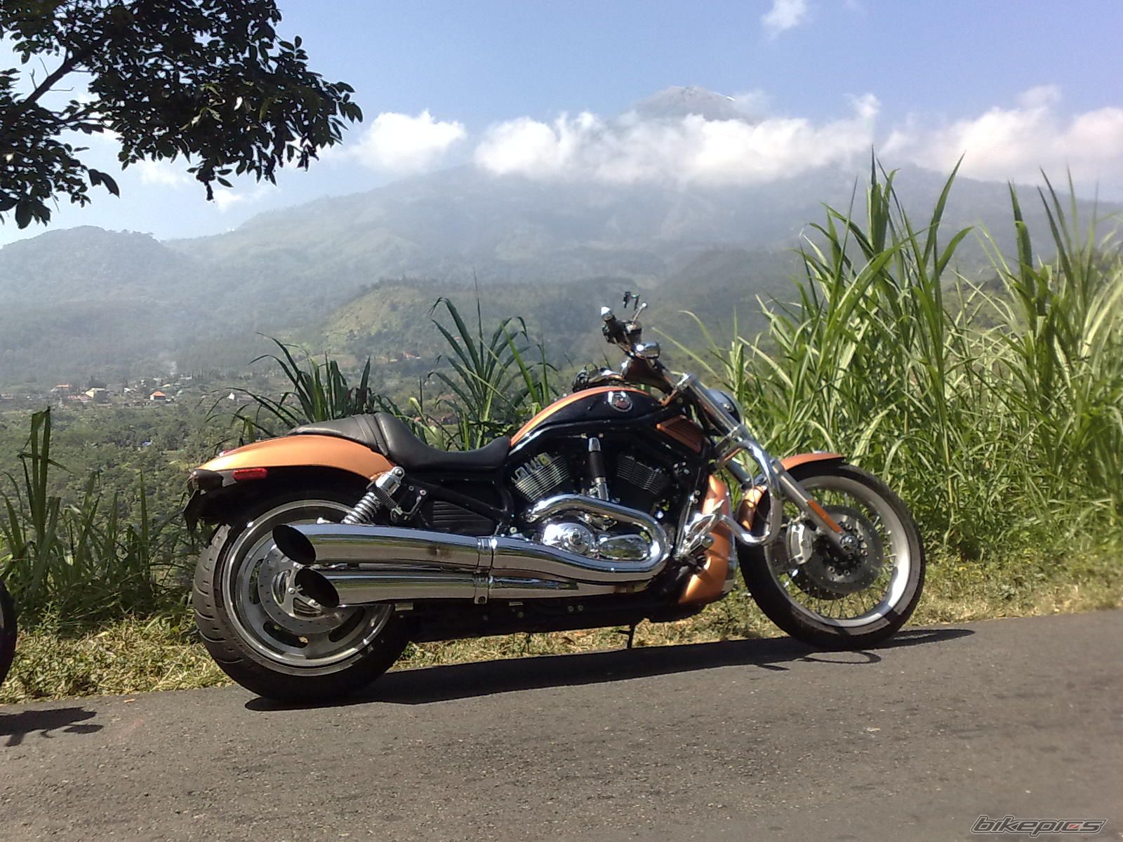Photo 1734364
