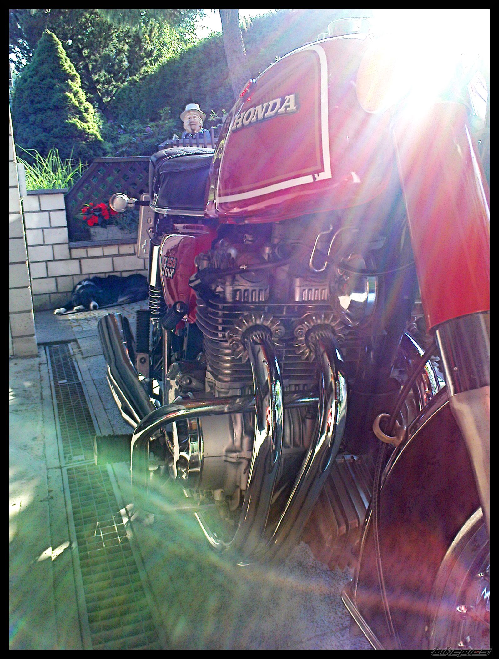 Photo 1734504