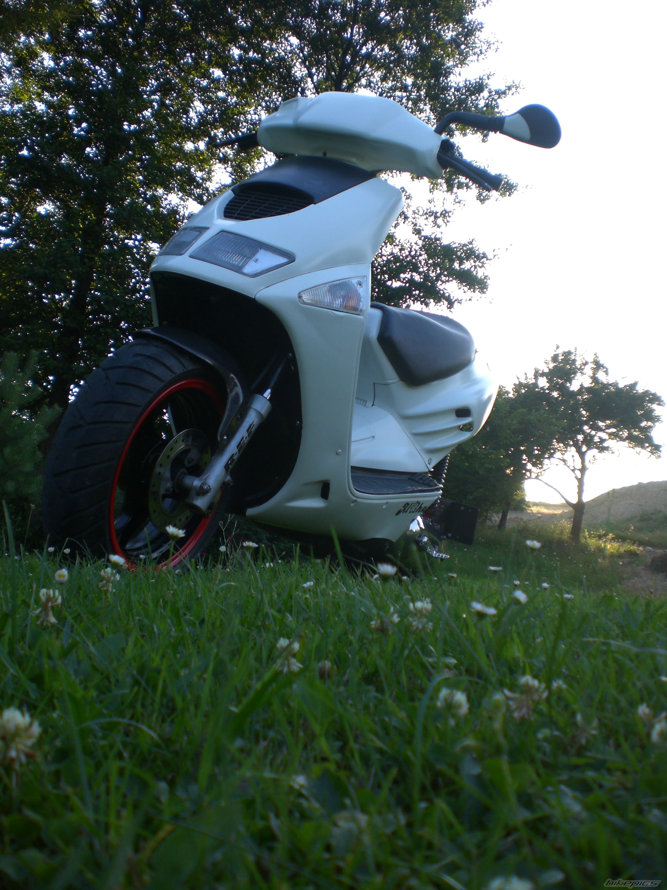 Photo 1734694