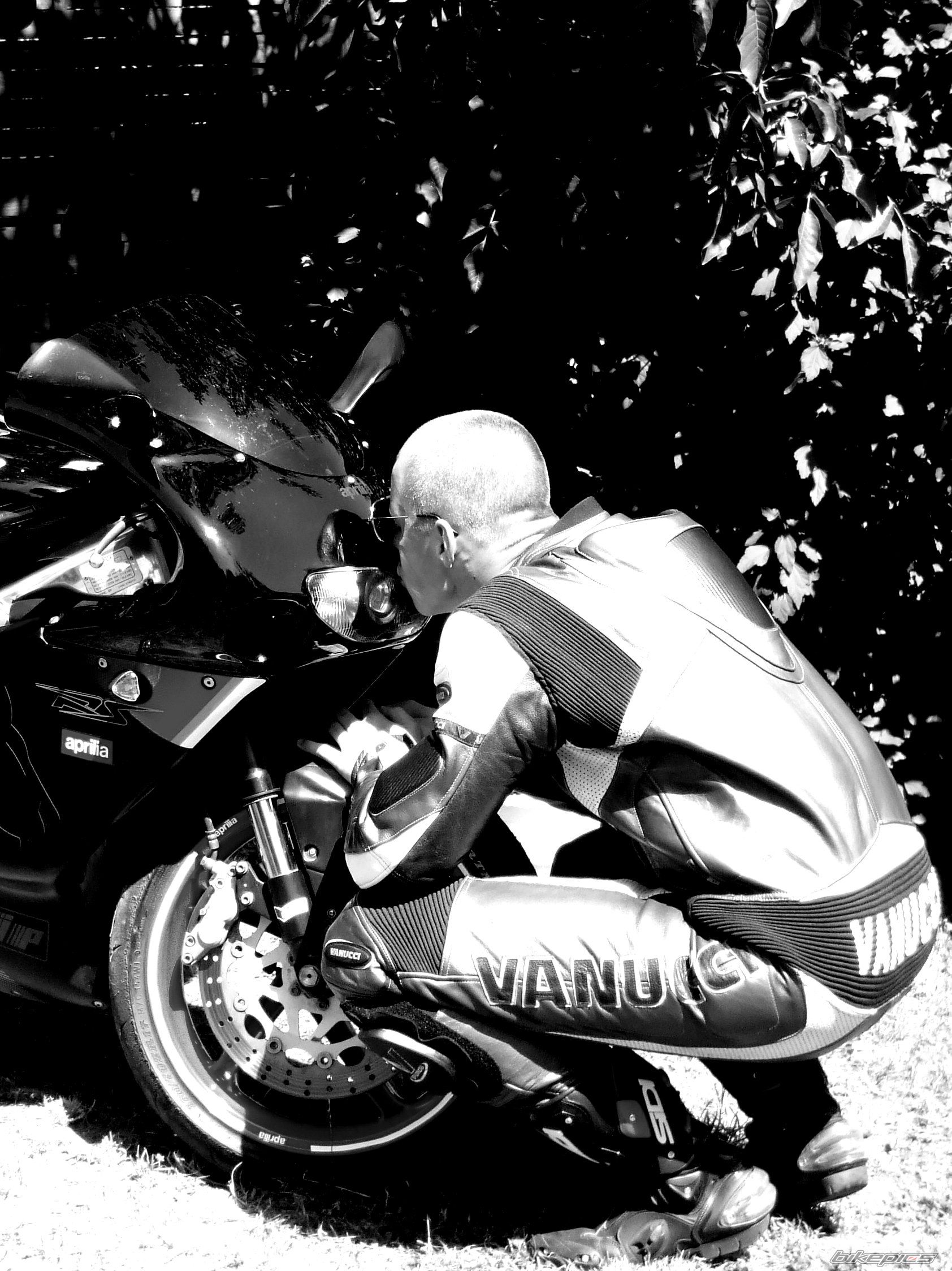 Photo 1734726