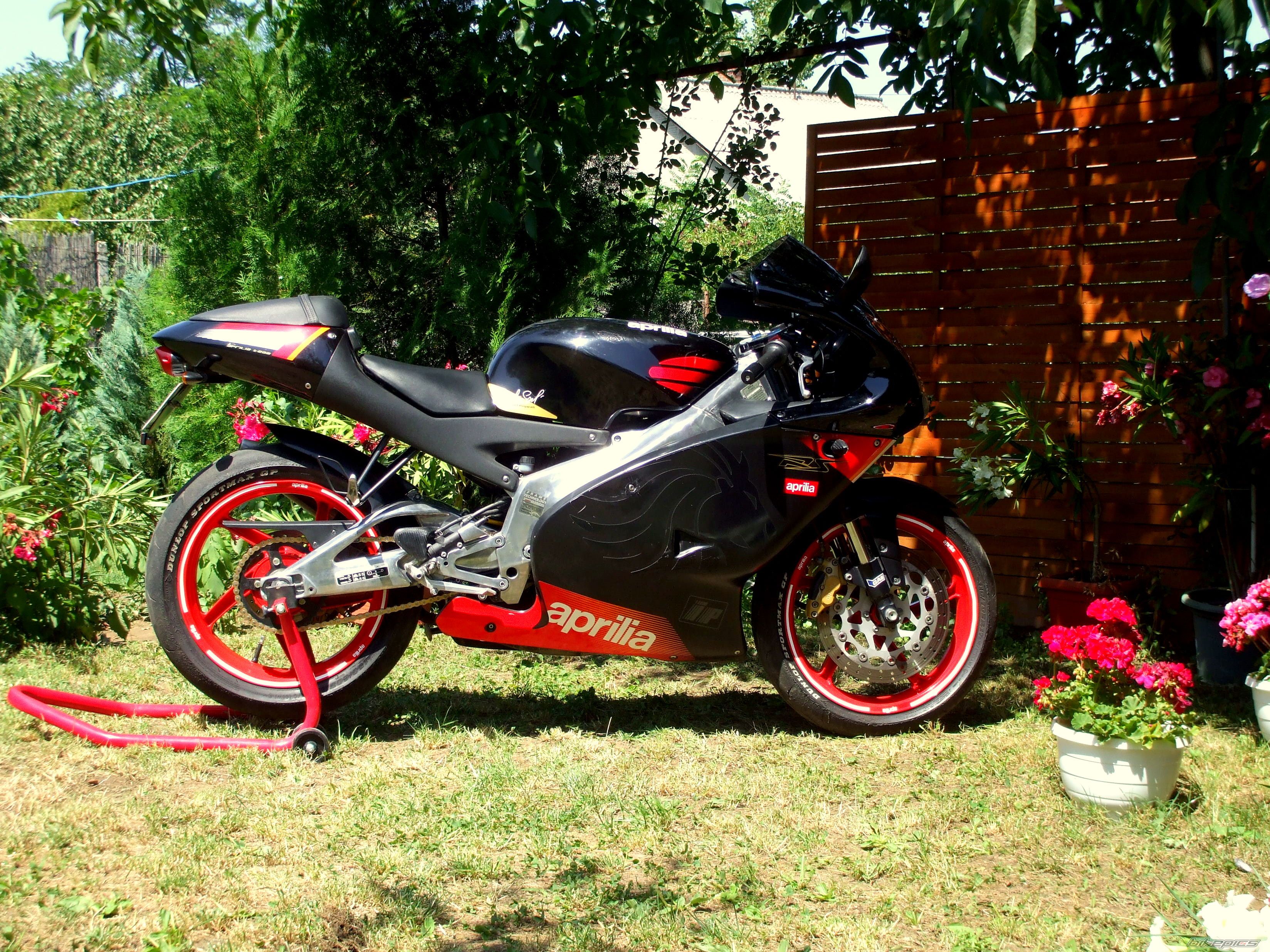 Photo 1734729