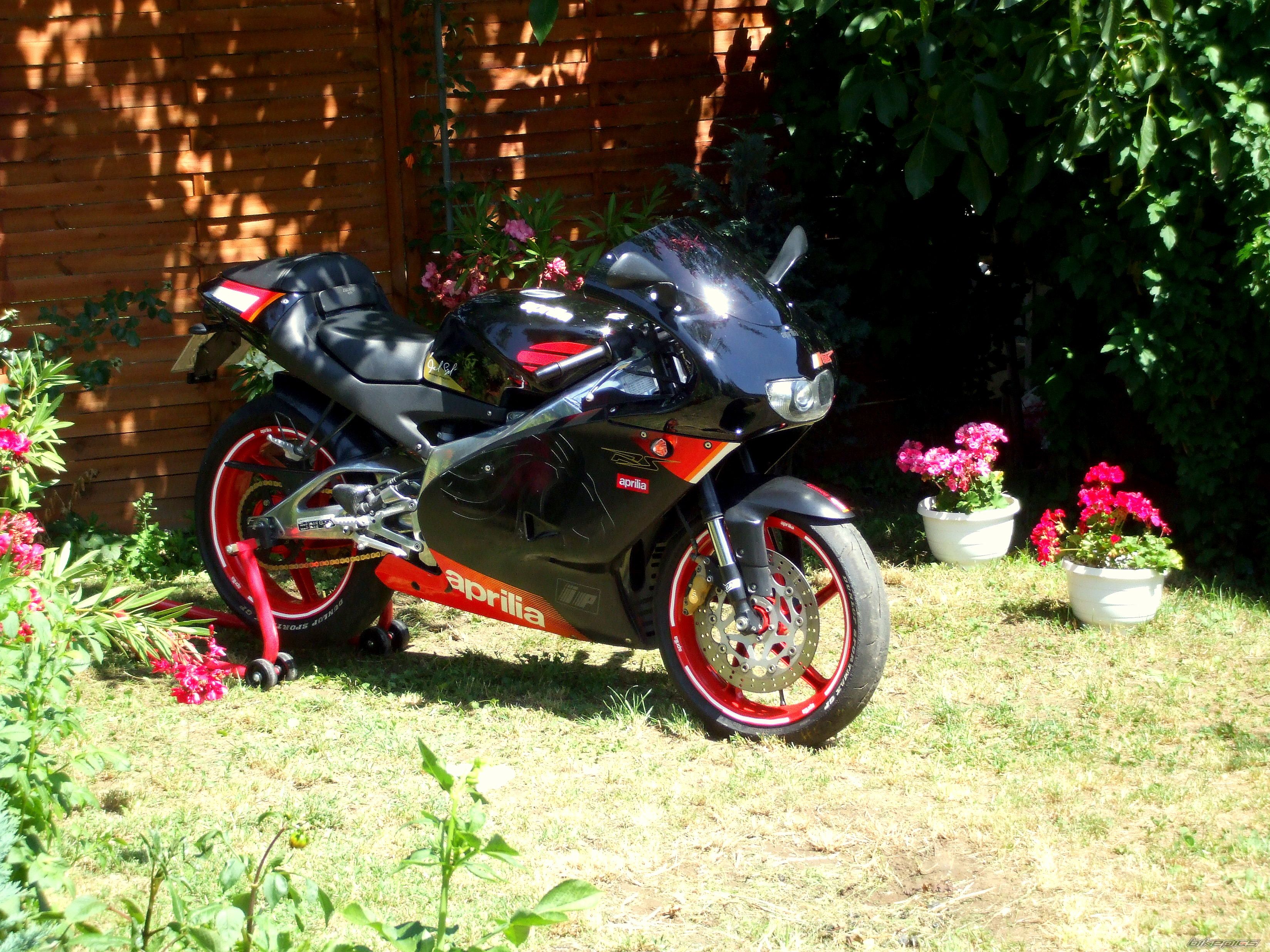 Photo 1734731