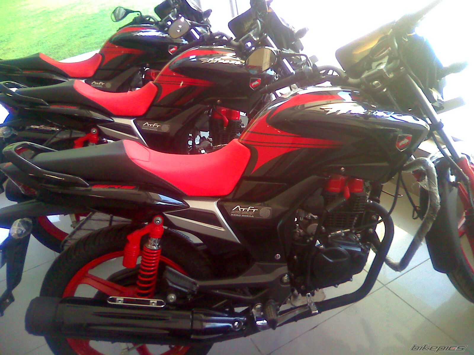 Photo 1734812