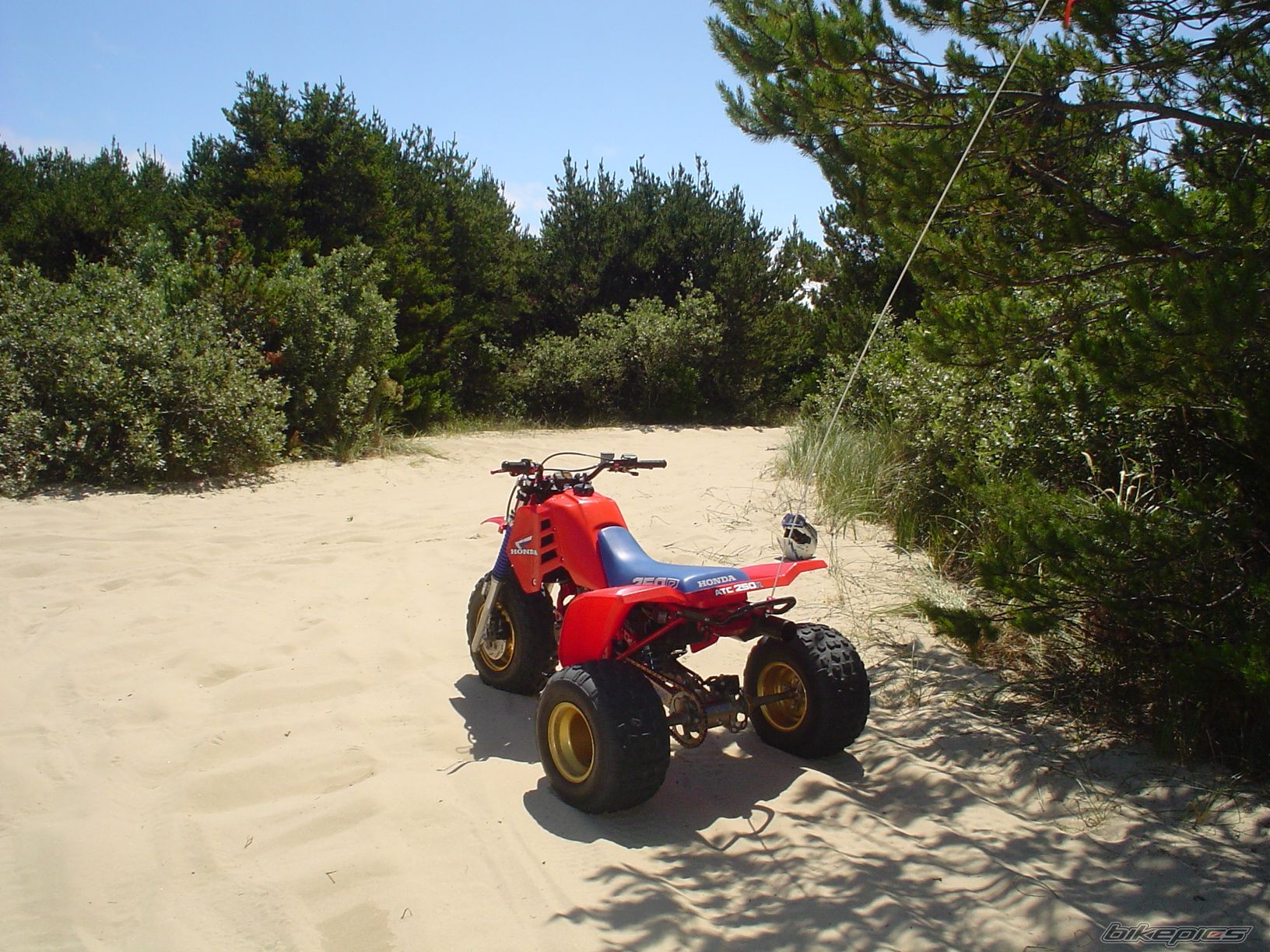 Photo 1734825