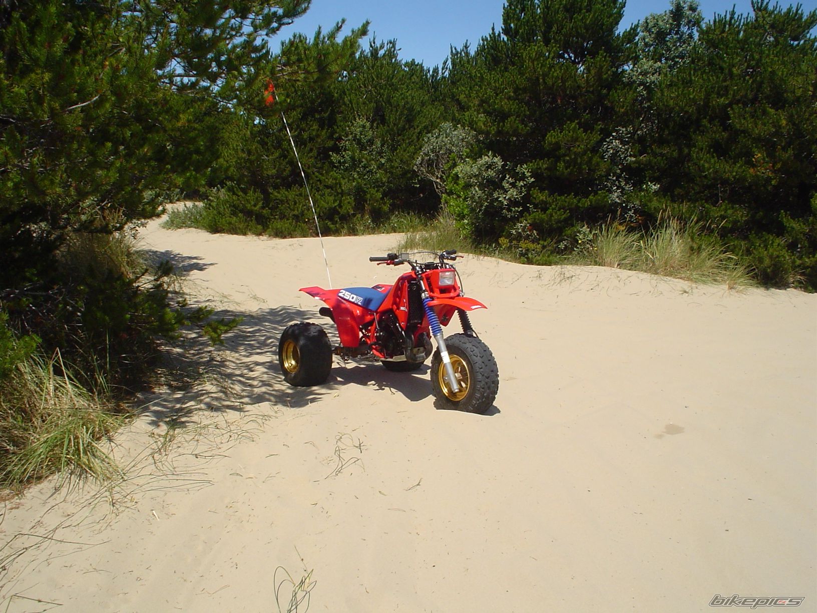 Photo 1734927