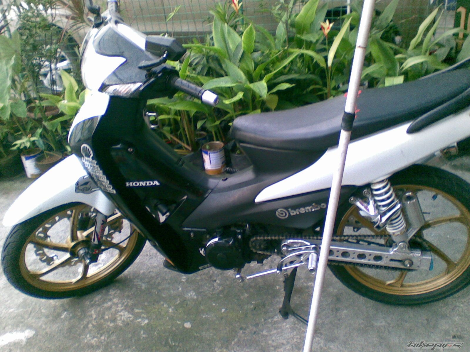 Photo 1734974