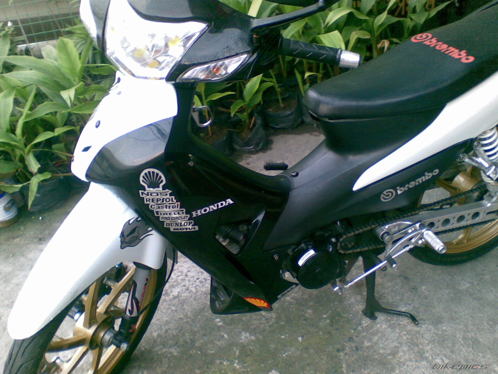 Photo 1734978