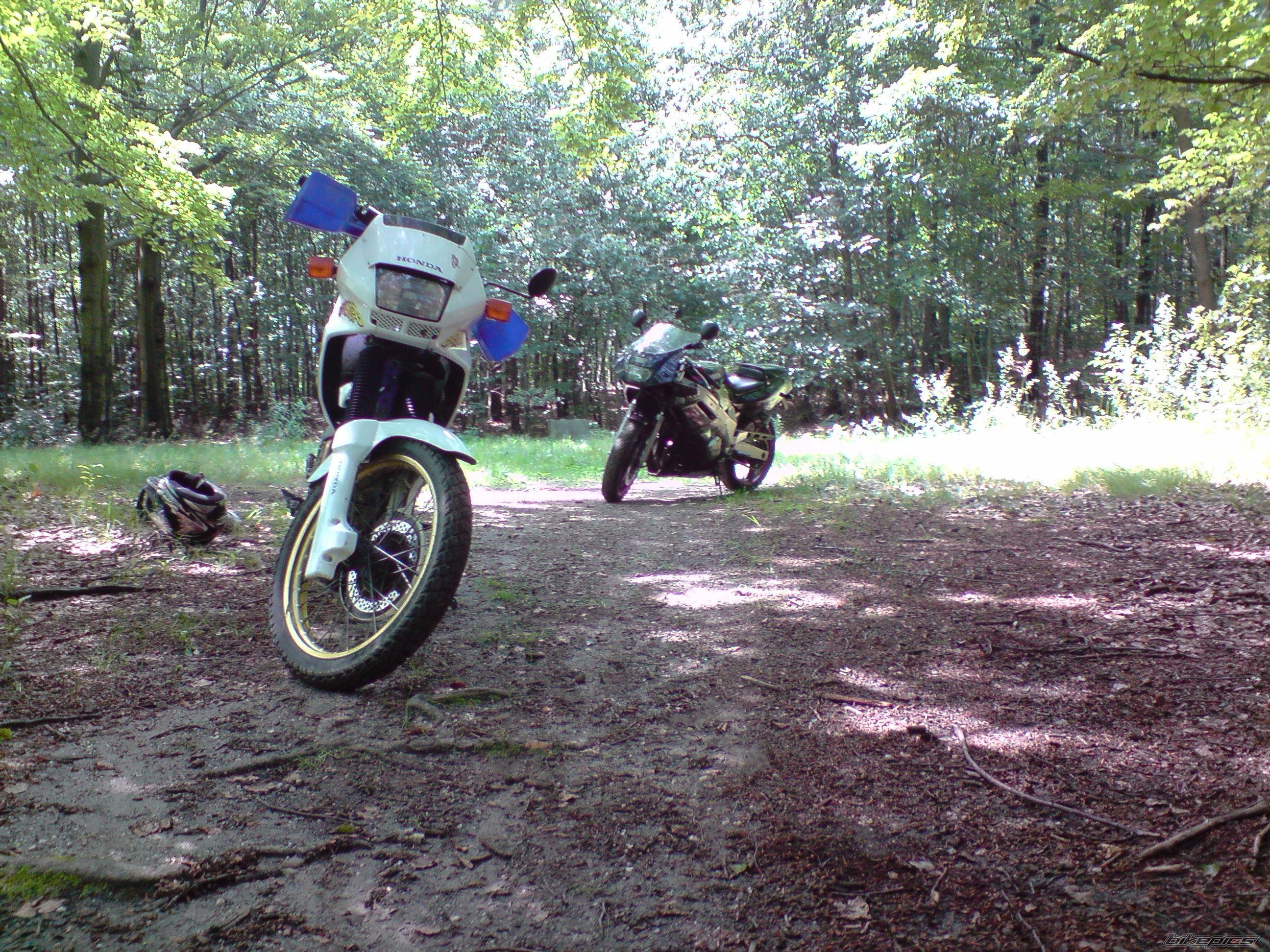 Photo 1735014