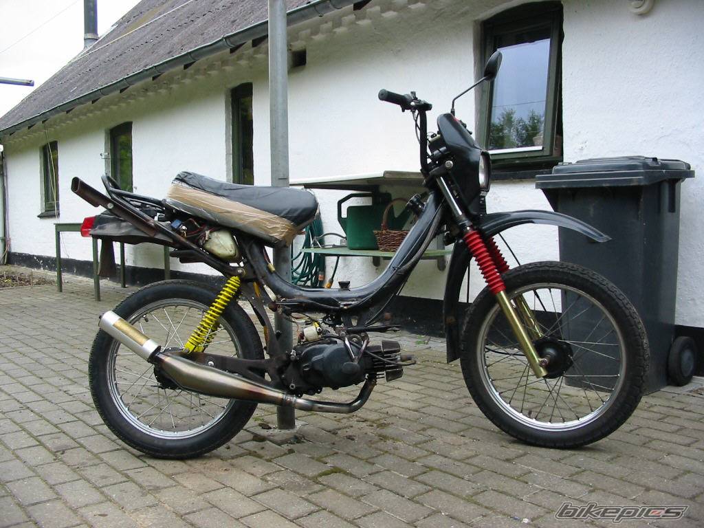 Photo 173517