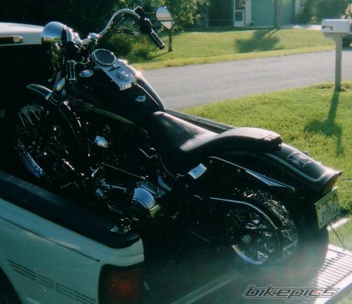 Photo 173518