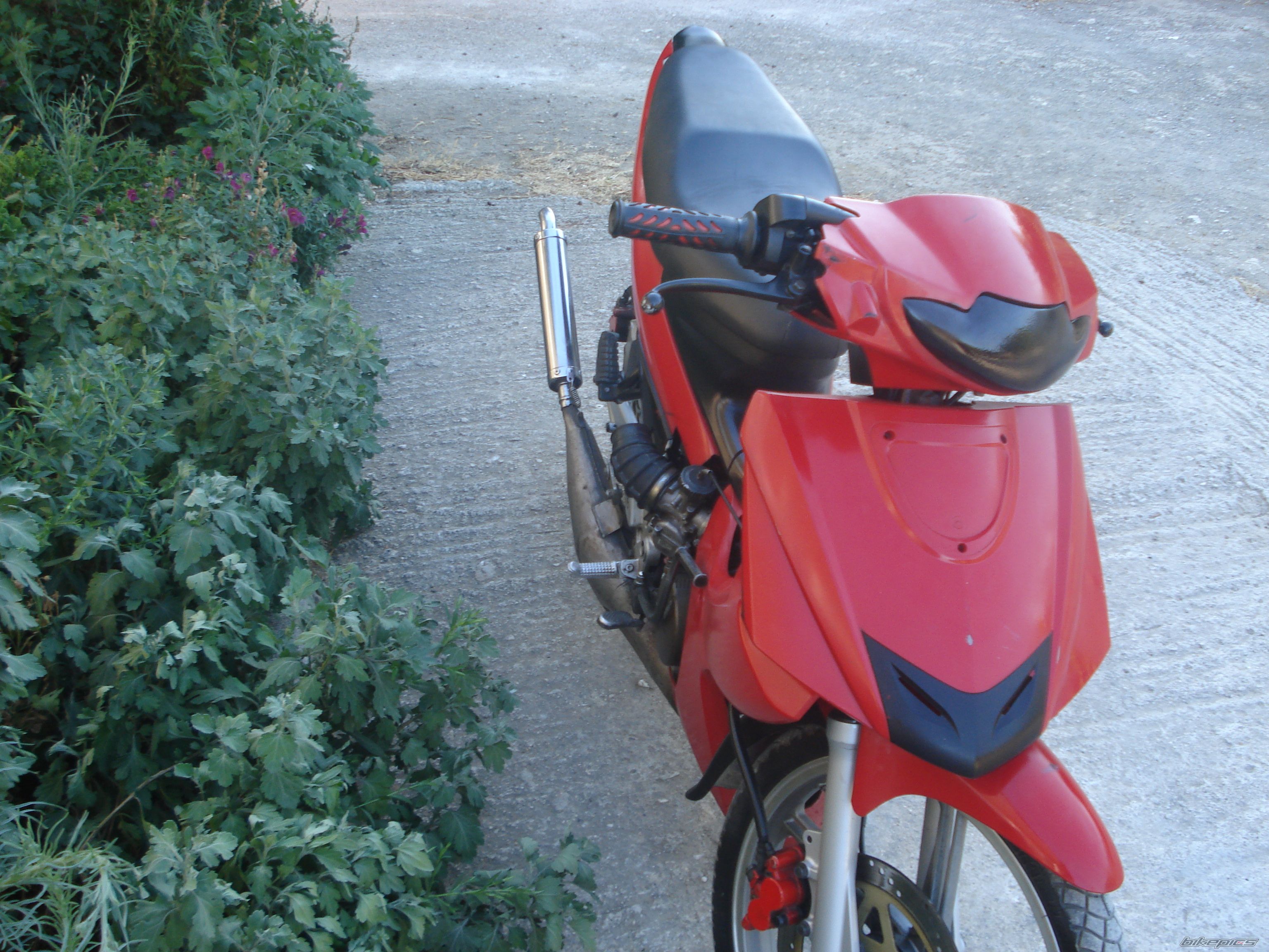 Photo 1735193