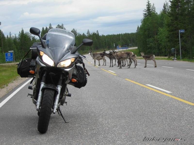 Photo 1735245