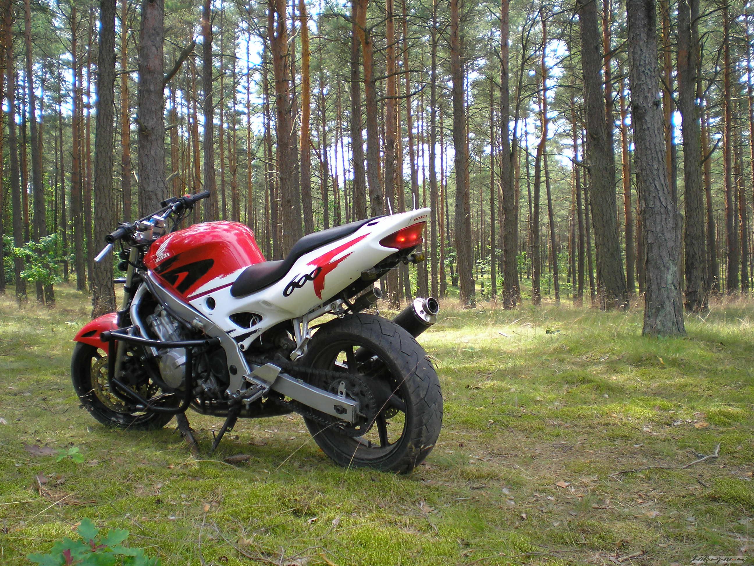 Photo 1735365