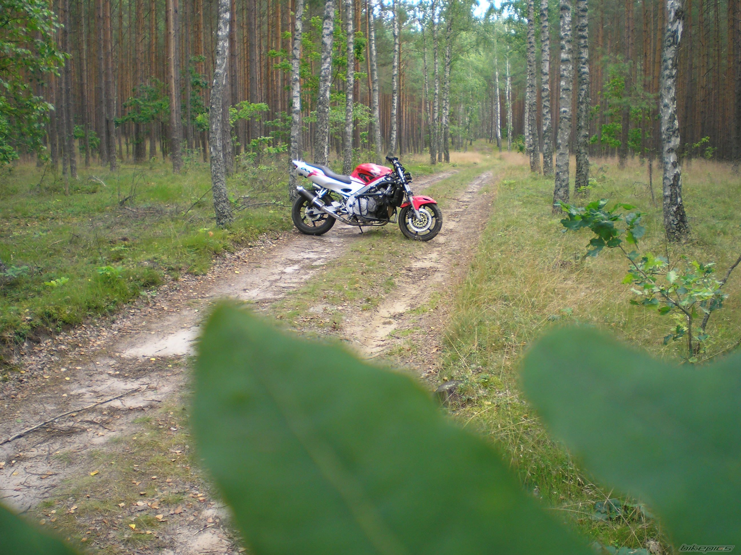 Photo 1735373