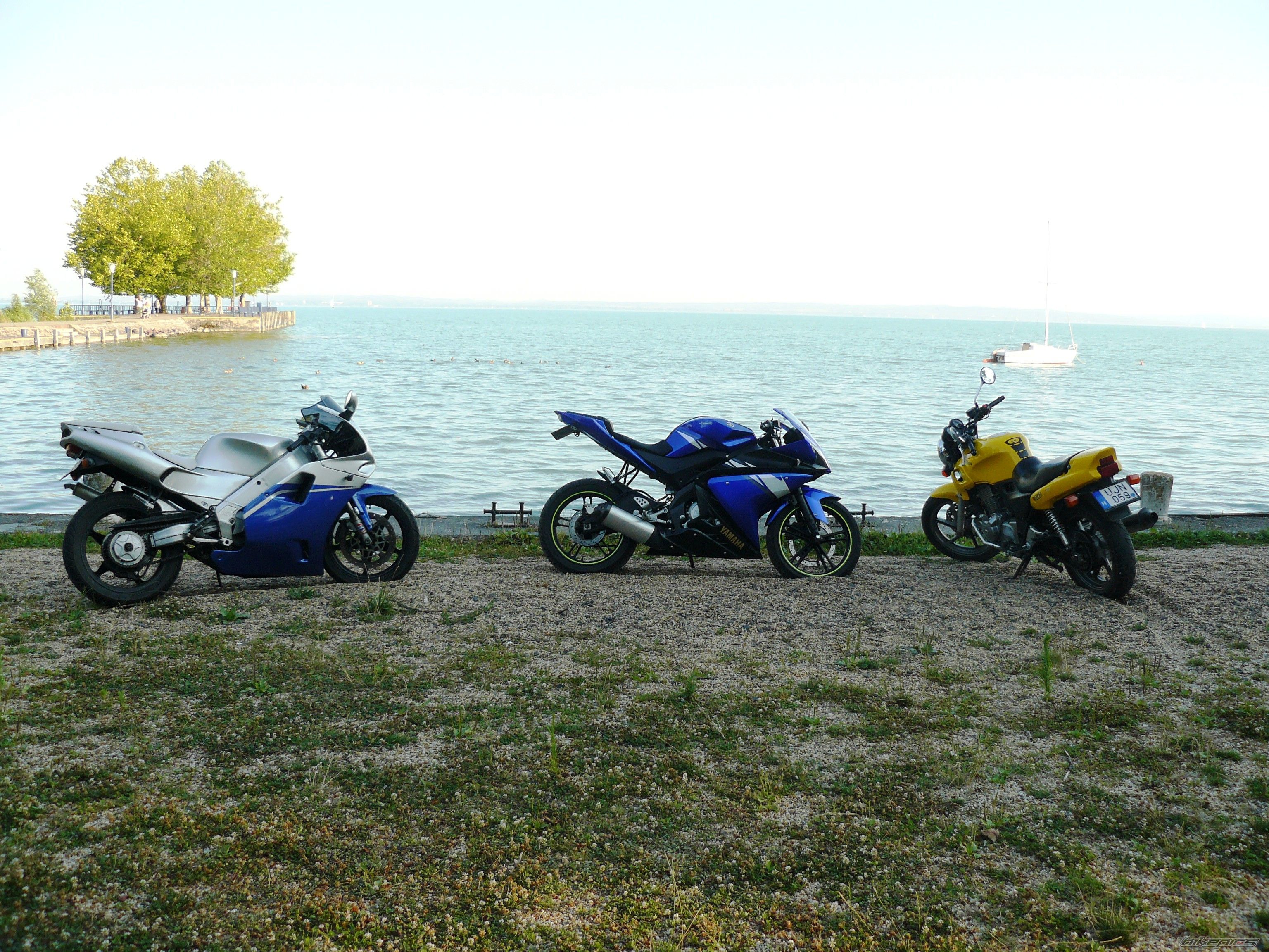Photo 1735388