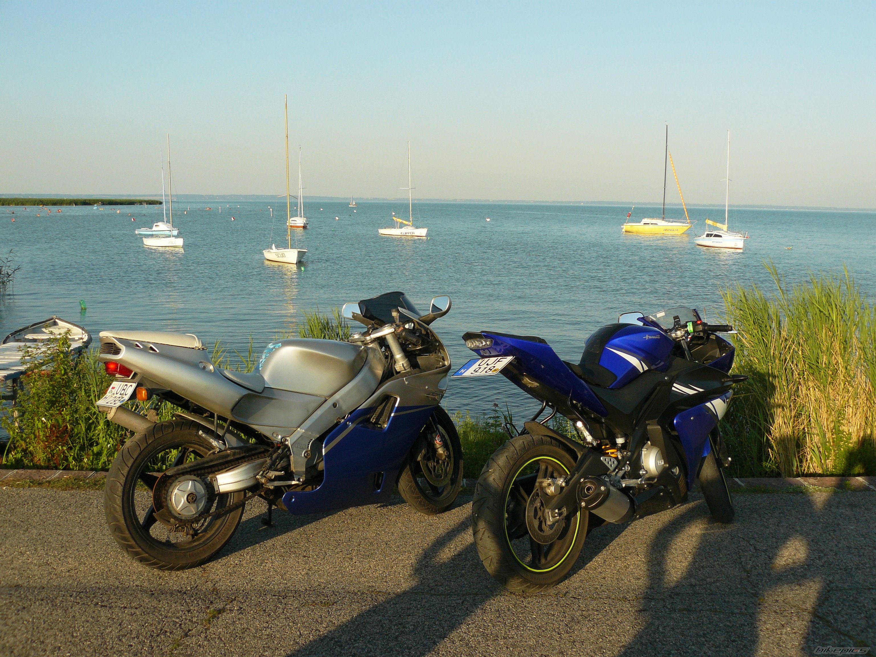 Photo 1735398