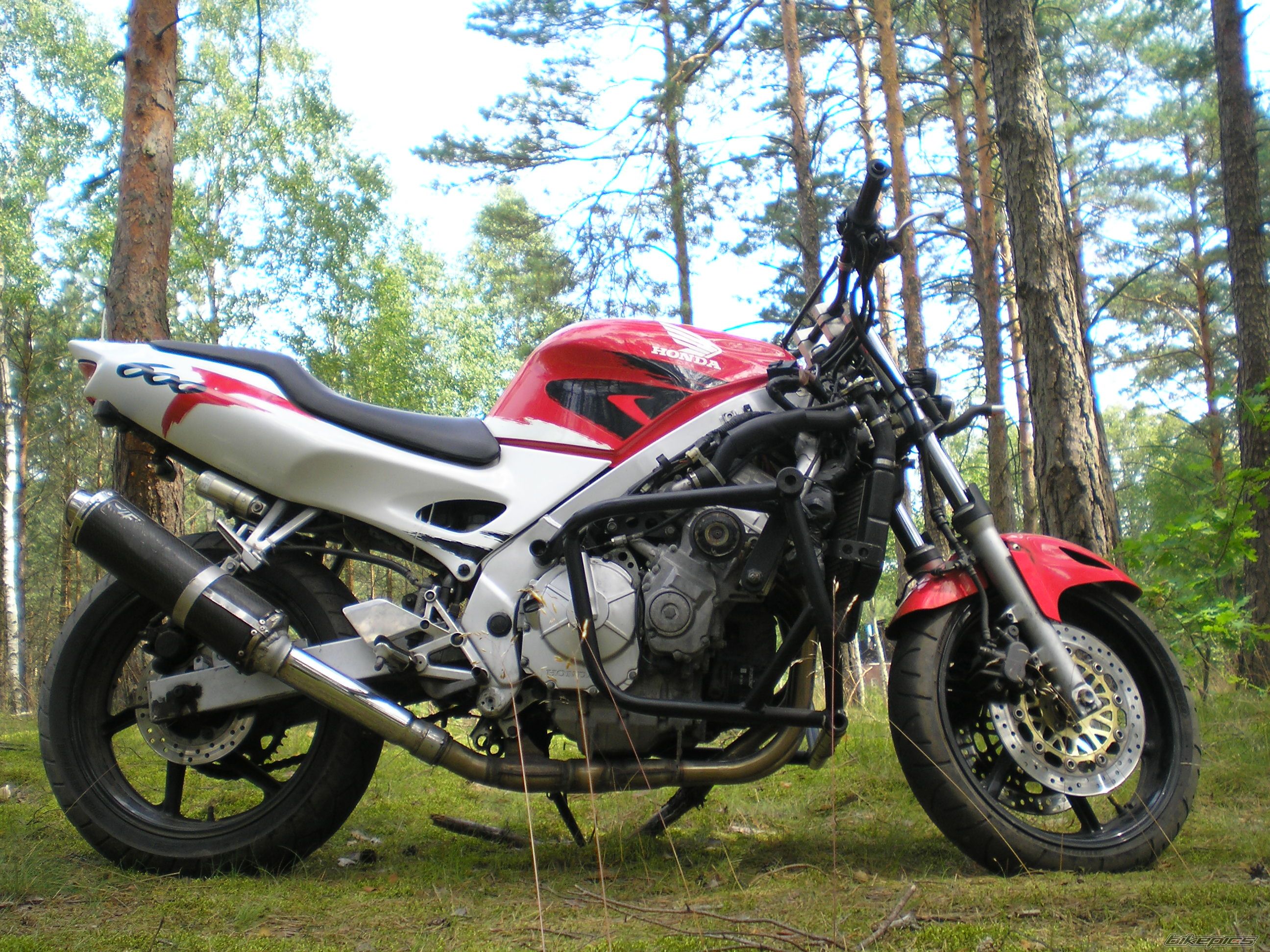 Photo 1735409