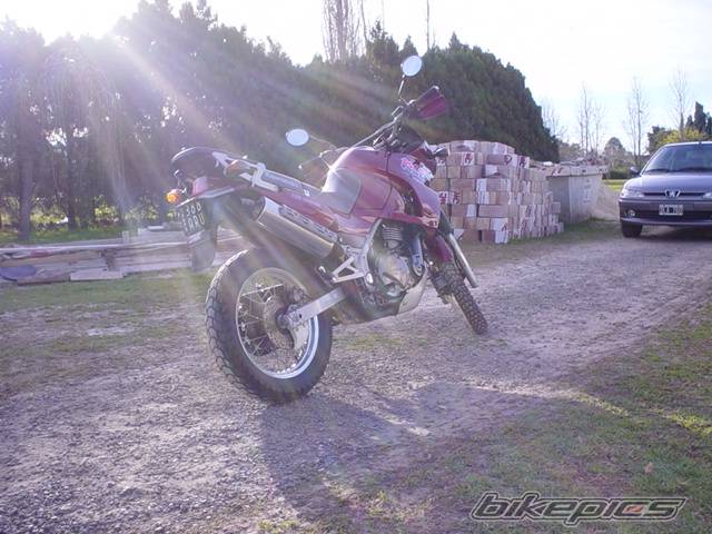 Bike Photo 173548