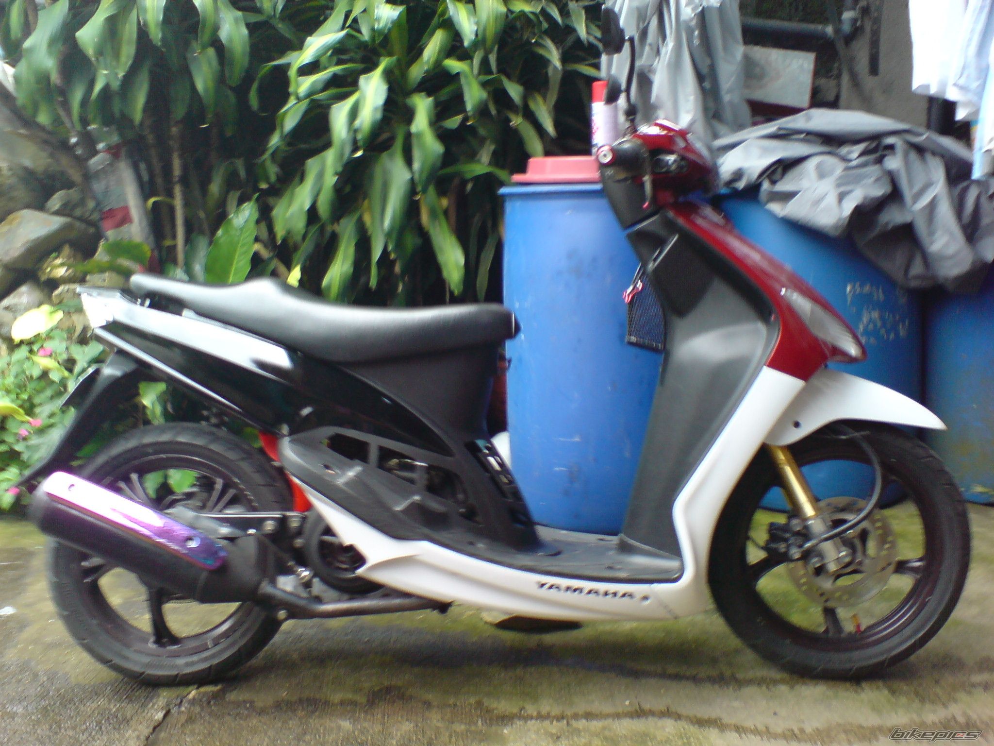 Photo 1735647
