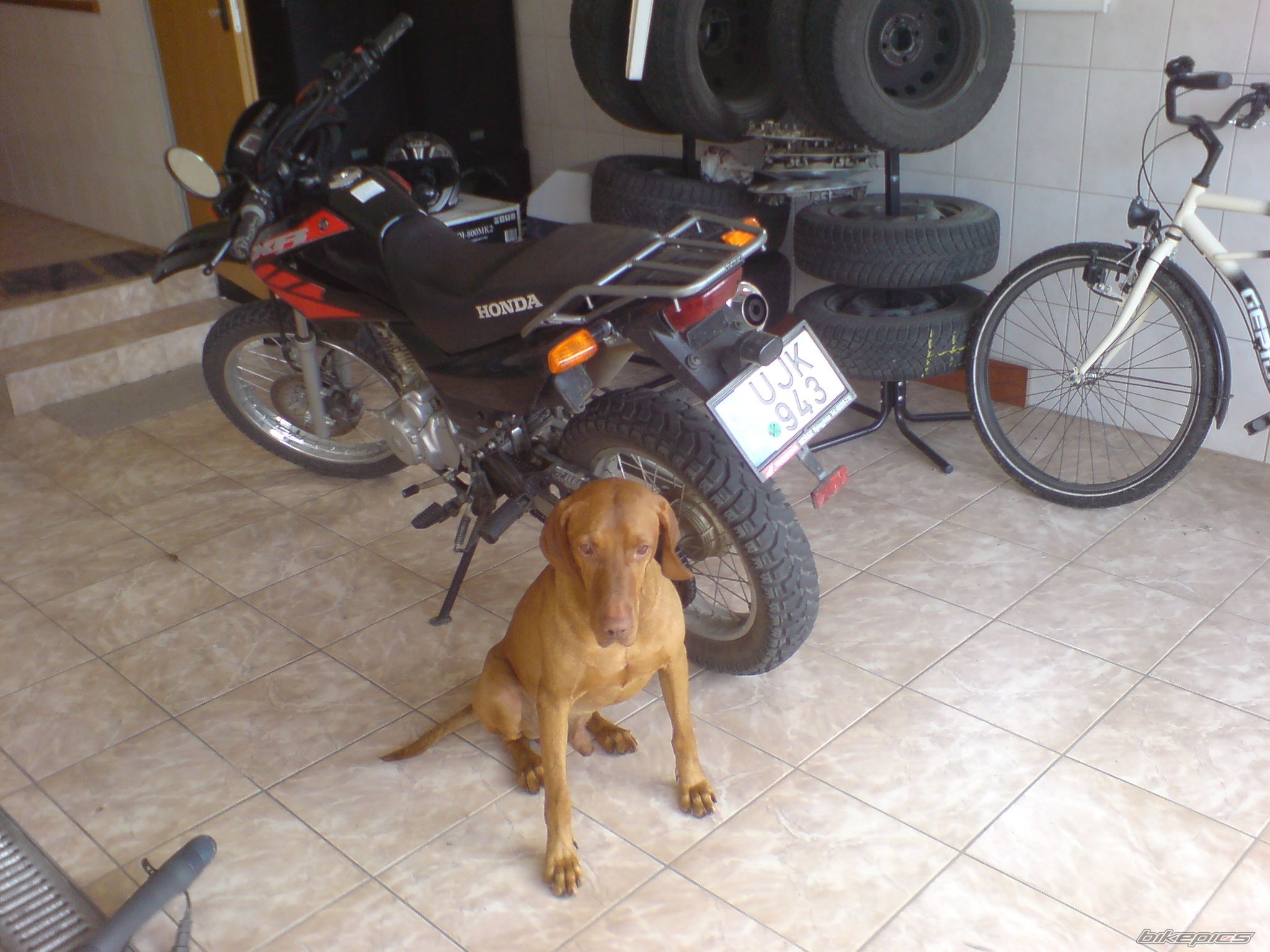 Photo 1735678
