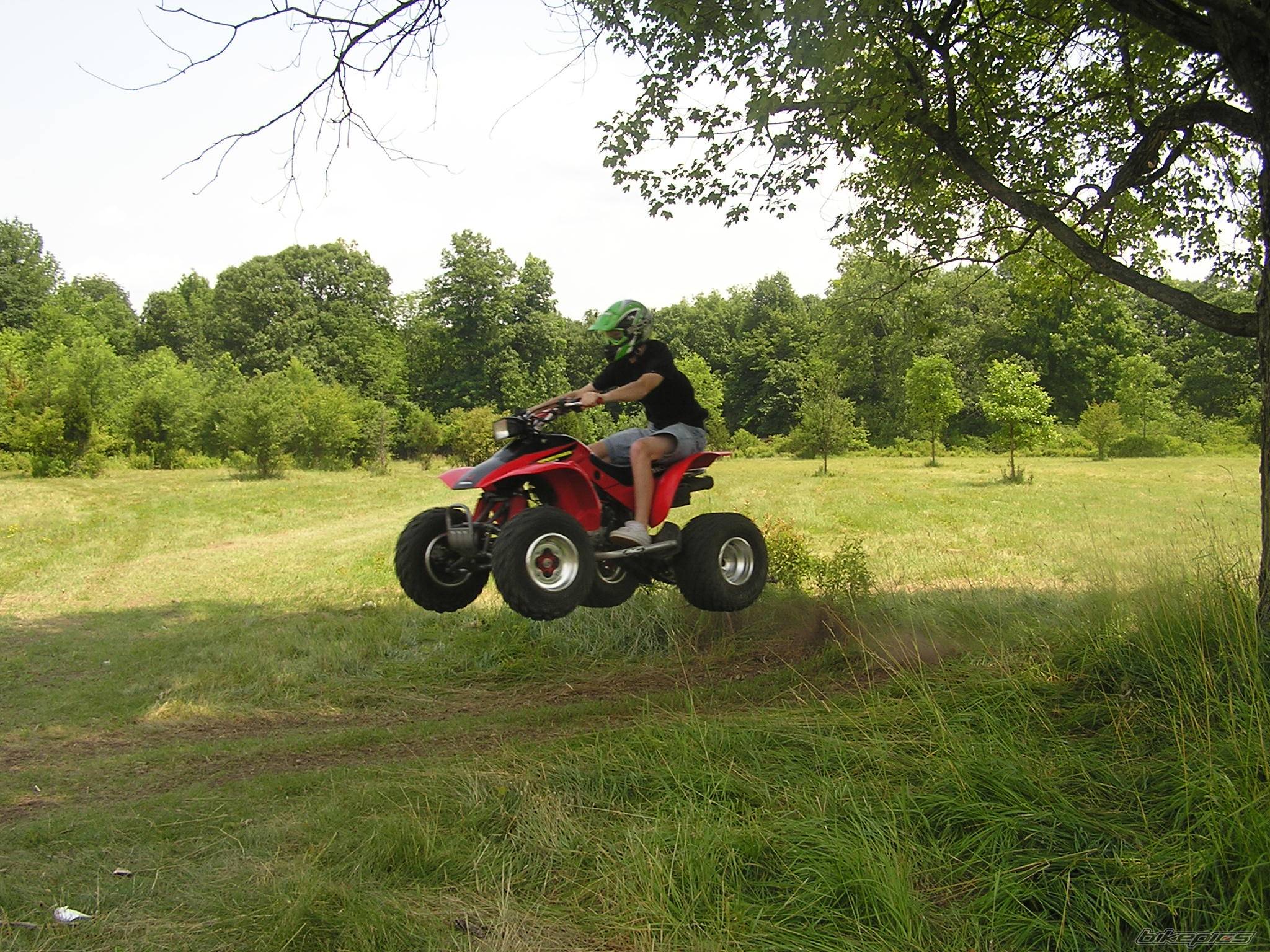 Photo 173569