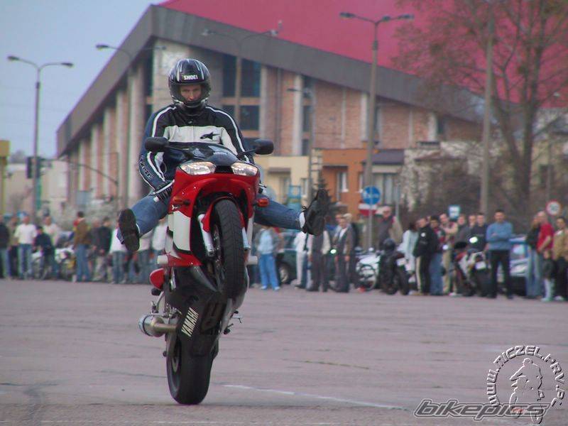 Photo 173582