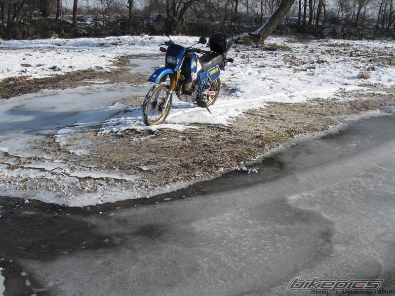 Photo 1735984