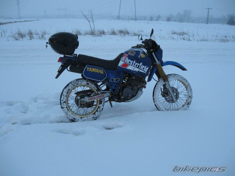 Photo 1735988