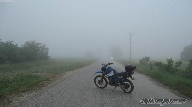 Photo 1735994