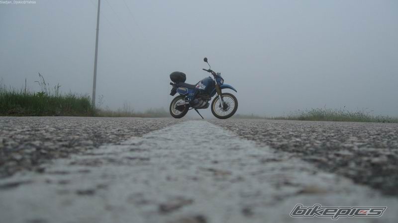 Photo 1735997