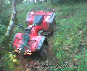 Photo 173610