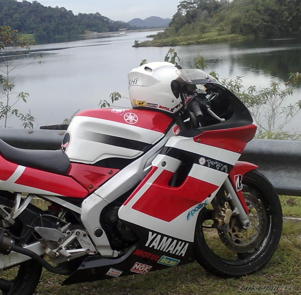 Photo 1736233