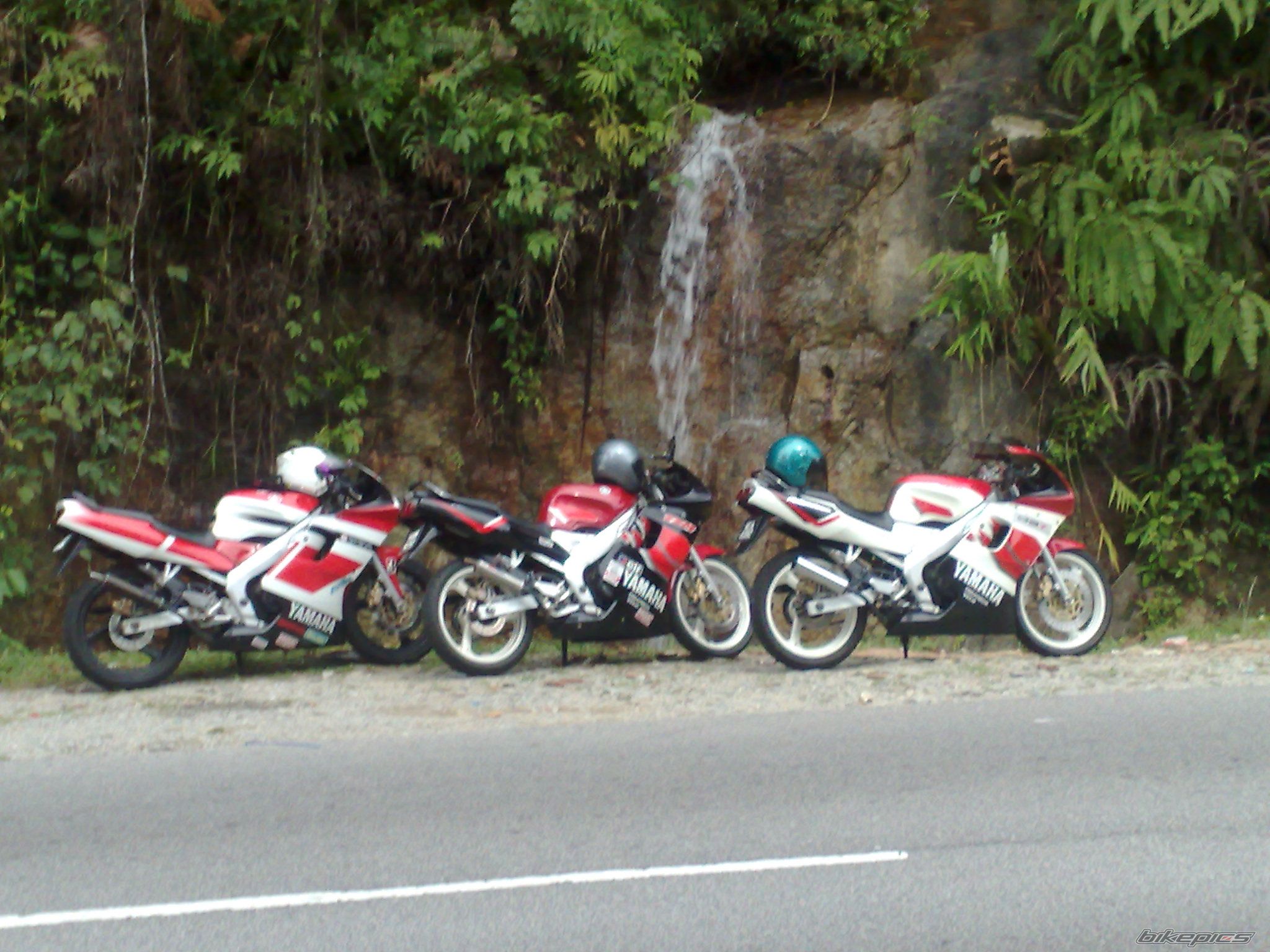 Photo 1736237