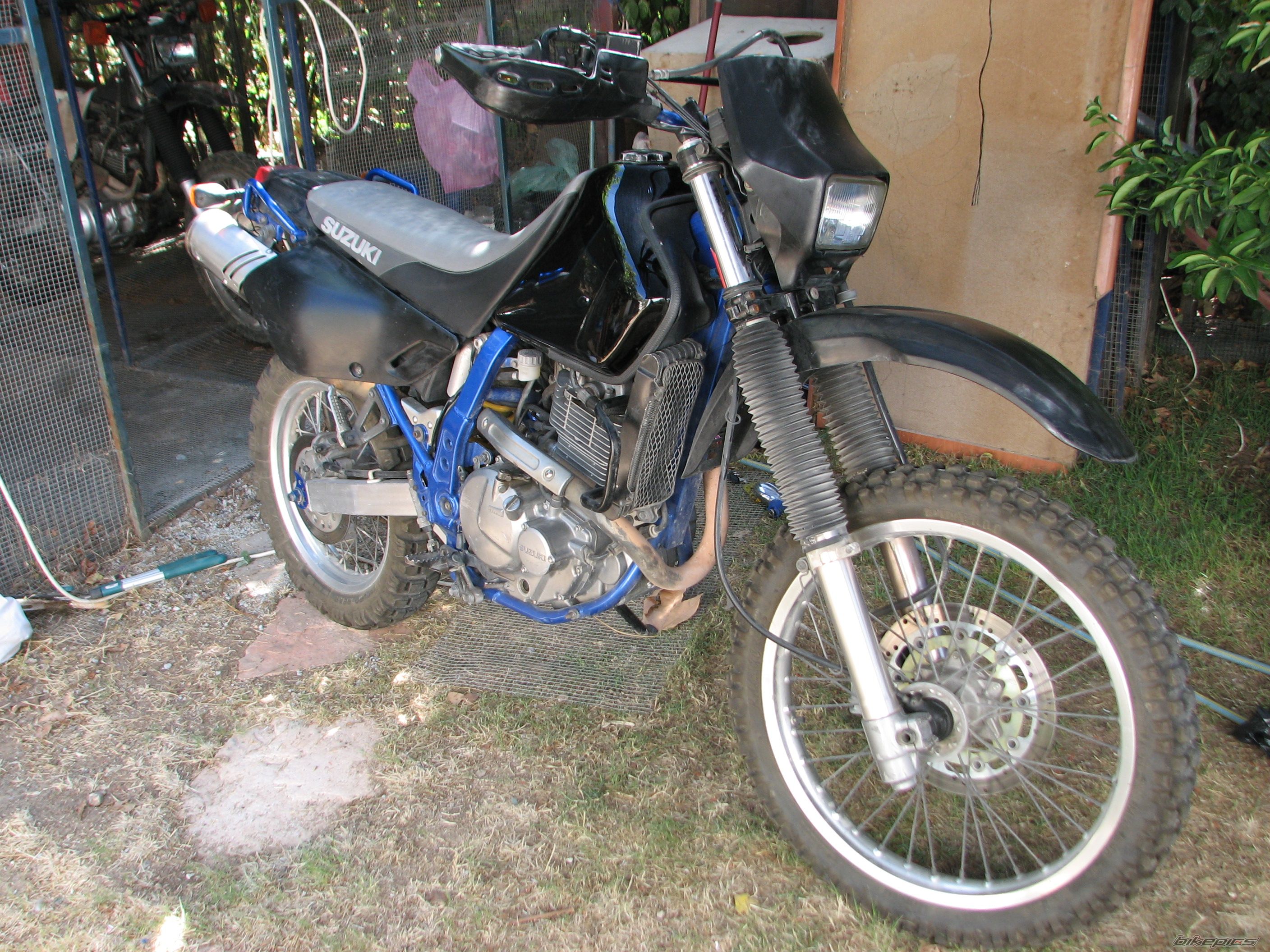 Photo 1736263