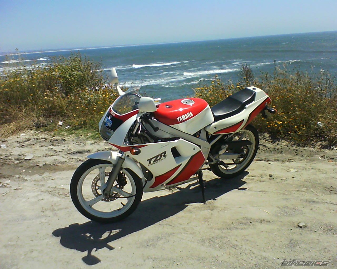 Photo 1736284
