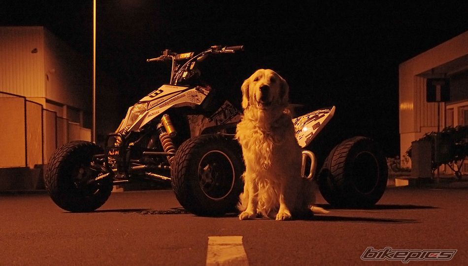 Photo 1736399